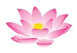 莲花 上陆
