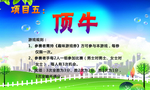 趣味运动会 顶牛
