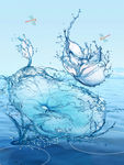 水