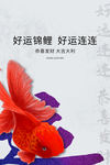 锦鲤海报