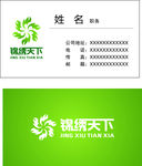 绿色名片