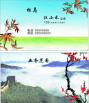 淡雅名片