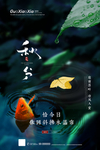 秋分