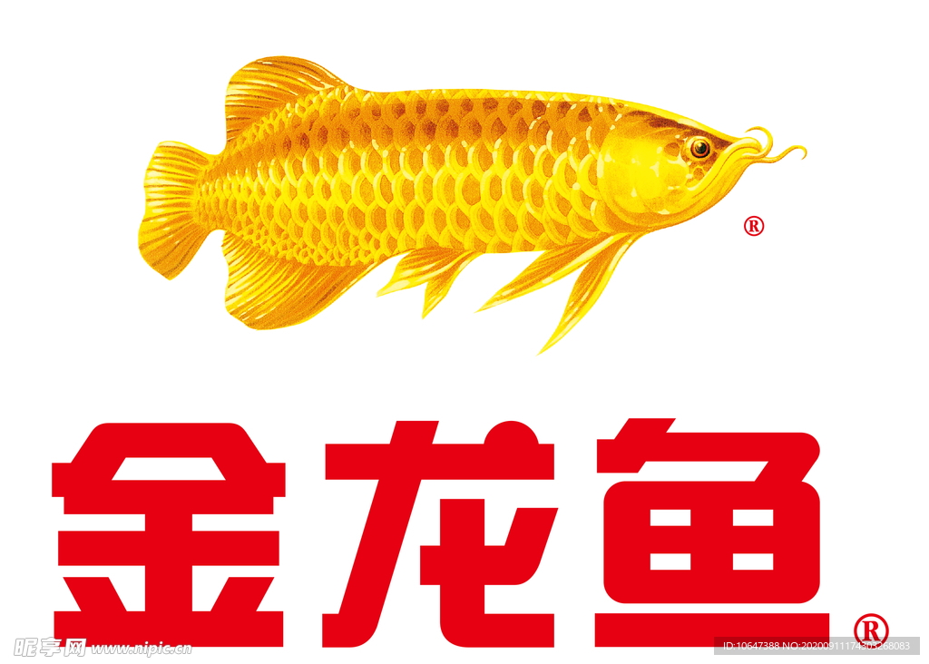 金龙鱼