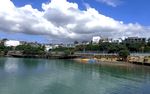奥克兰城市海滨风景