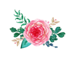 花卉素材