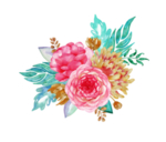 花卉素材