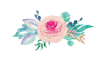 花卉素材