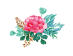 花卉素材
