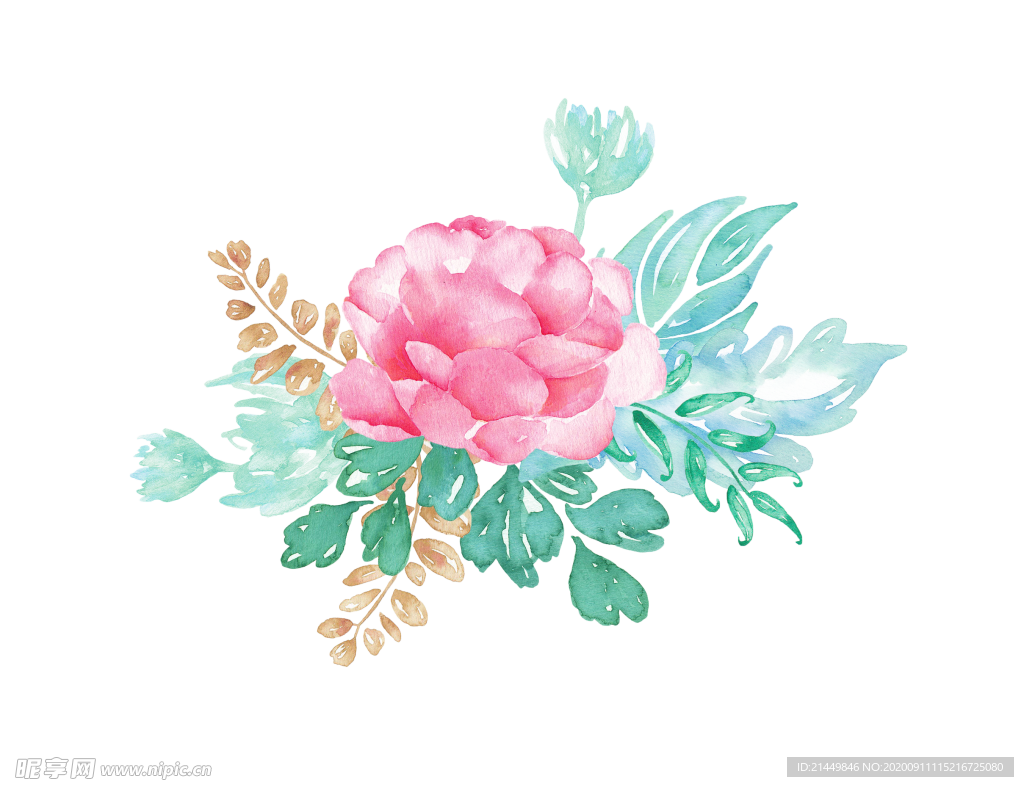 花卉素材