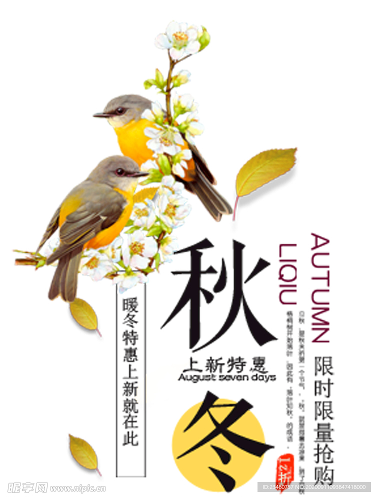 秋冬焕新