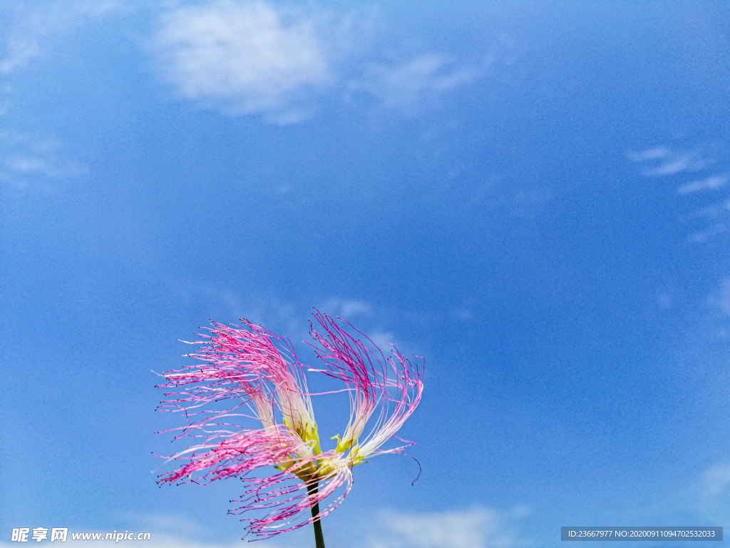 天空