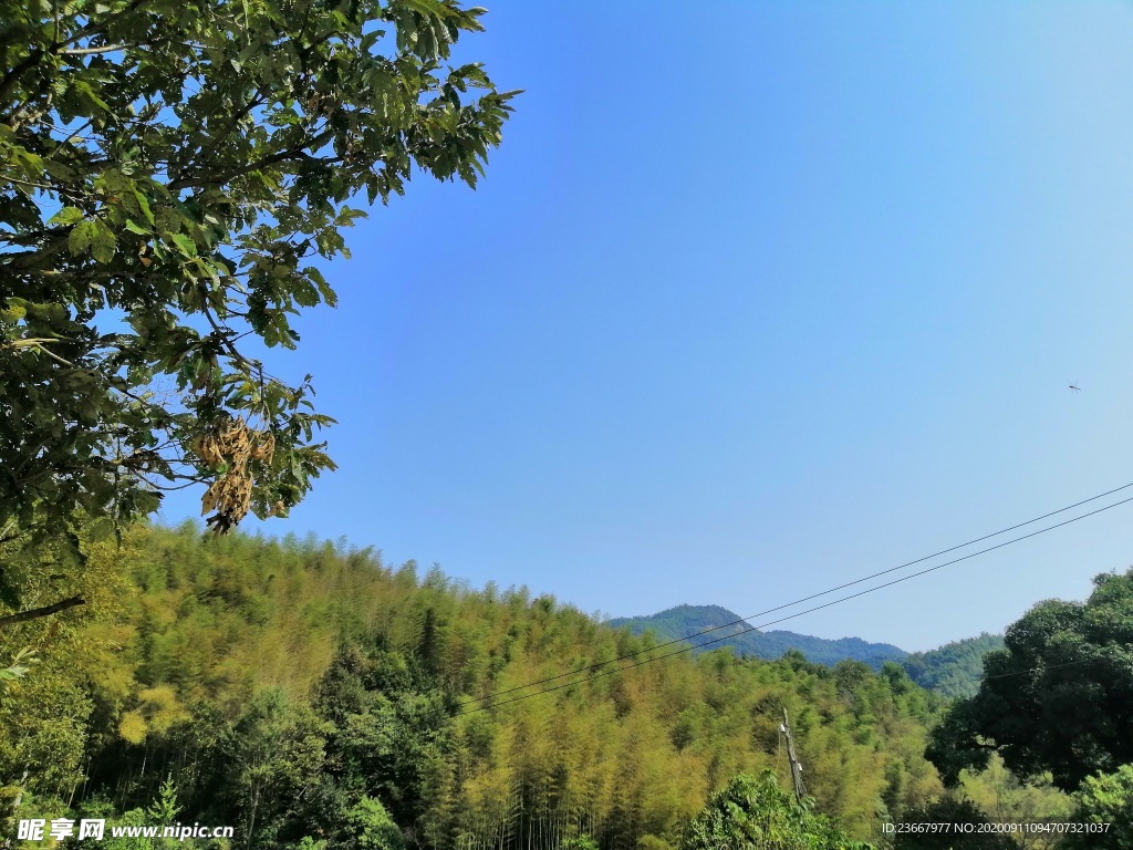 风景