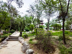 公园小路