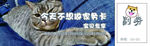 家政券