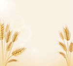 自然麦穗