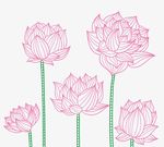 手绘荷花