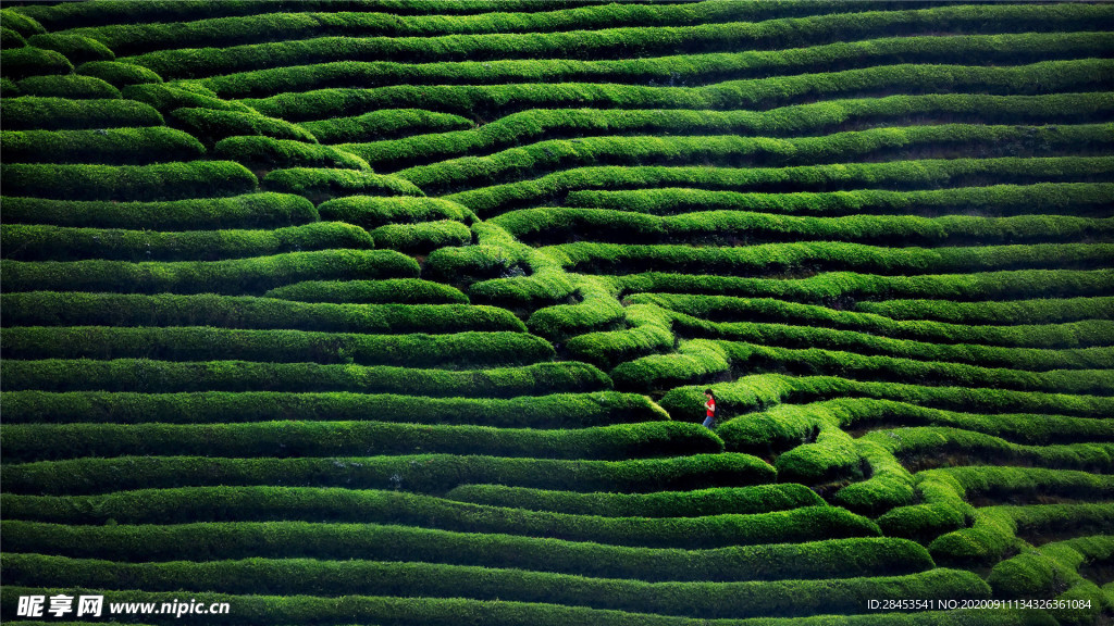 风景