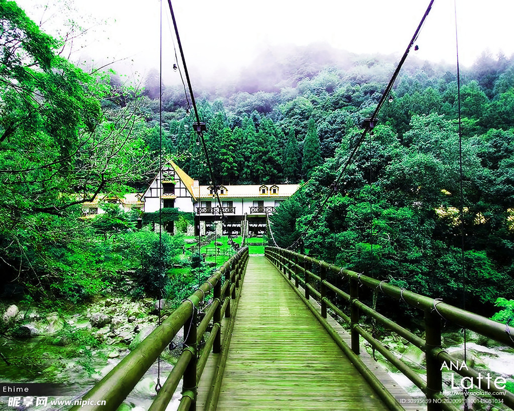 风景