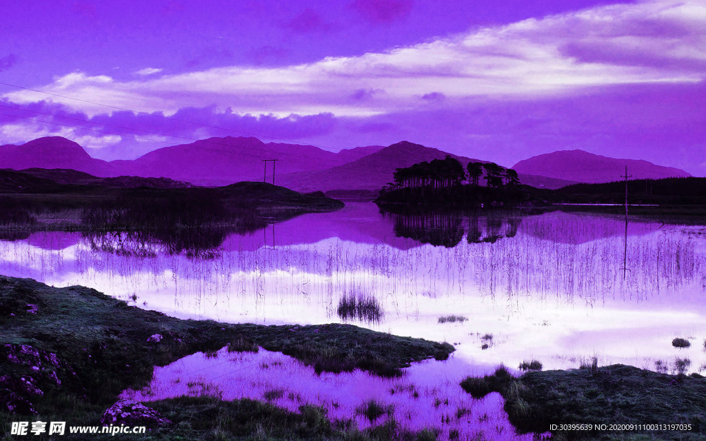 风景