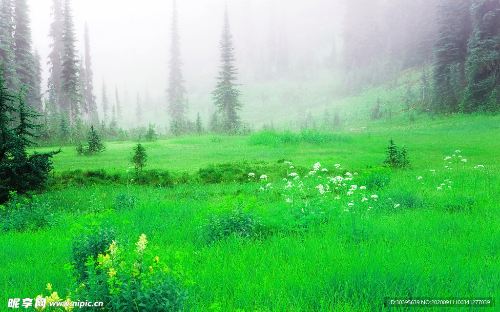 风景