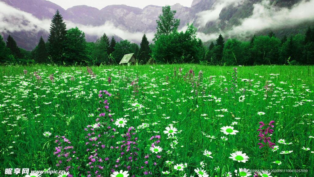 风景