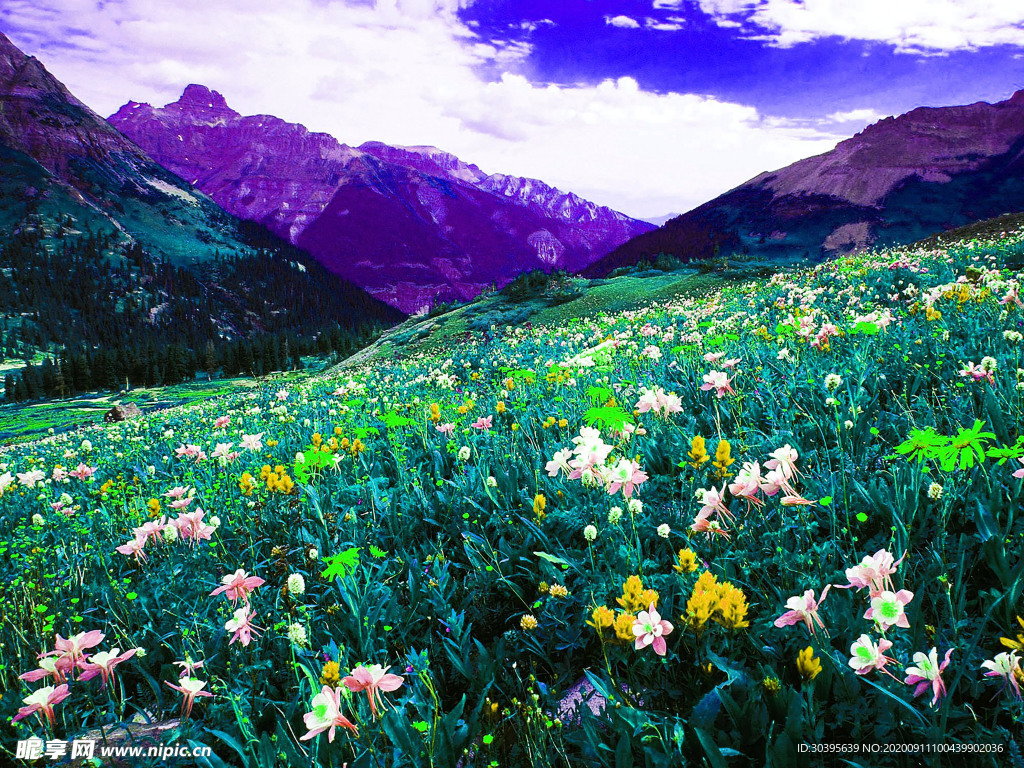 风景