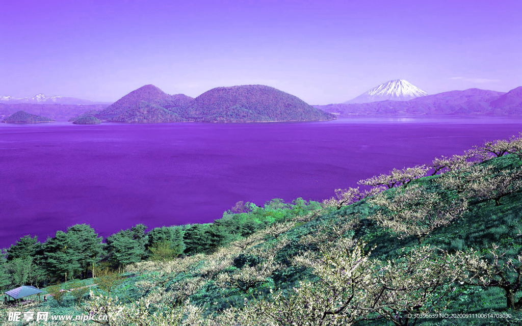 风景