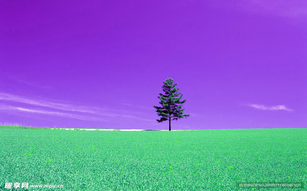 风景