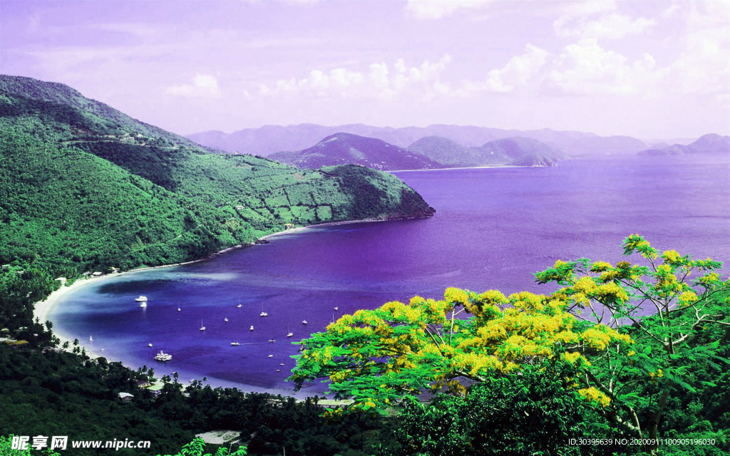 风景