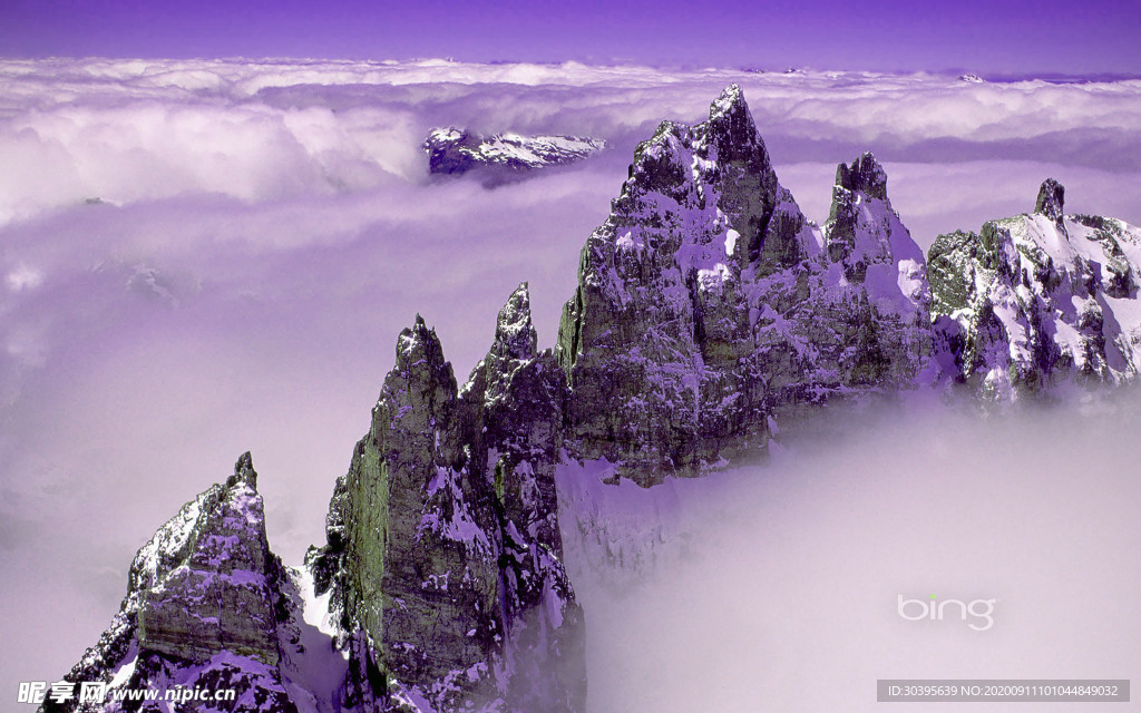 风景