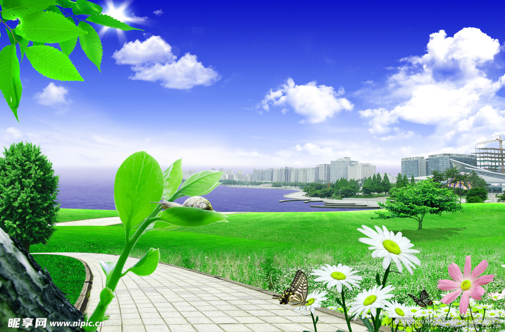 自然风景