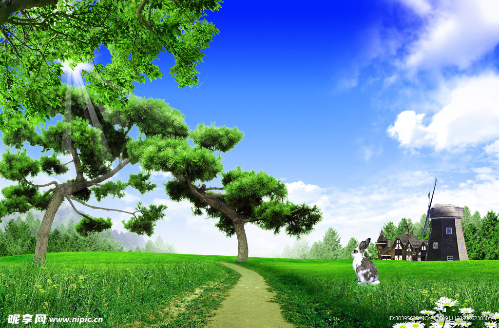 自然风景