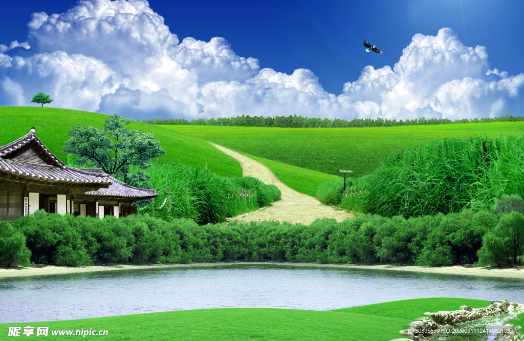 自然风景