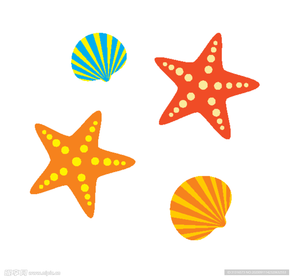 海星 贝壳