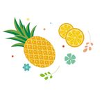 菠萝 黄色 矢量 素材 水果