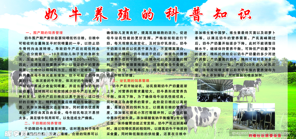 奶牛养殖