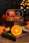 秋分