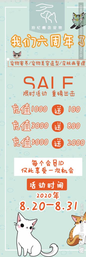 宠物
