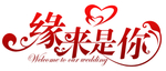 缘来是你