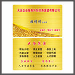 vip卡 pvc卡名片