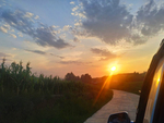 夕阳