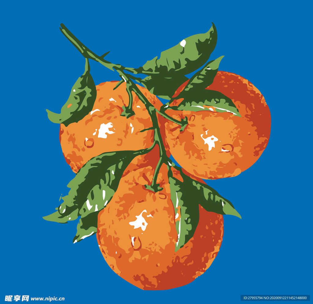橙子矢量插画