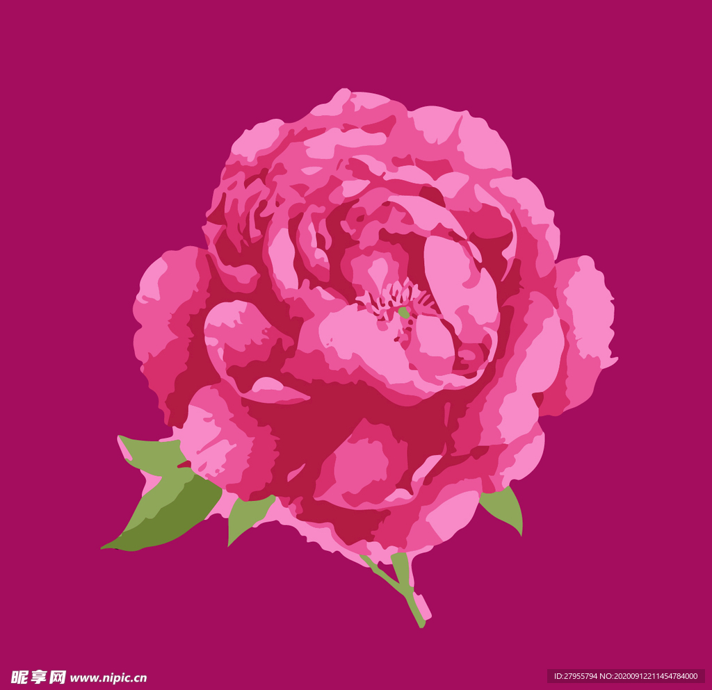 插画花