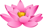 免扣荷花