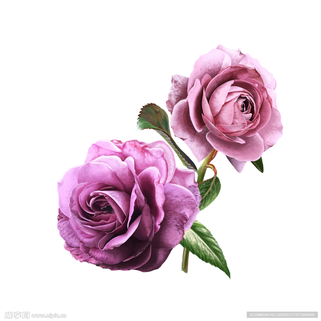 花
