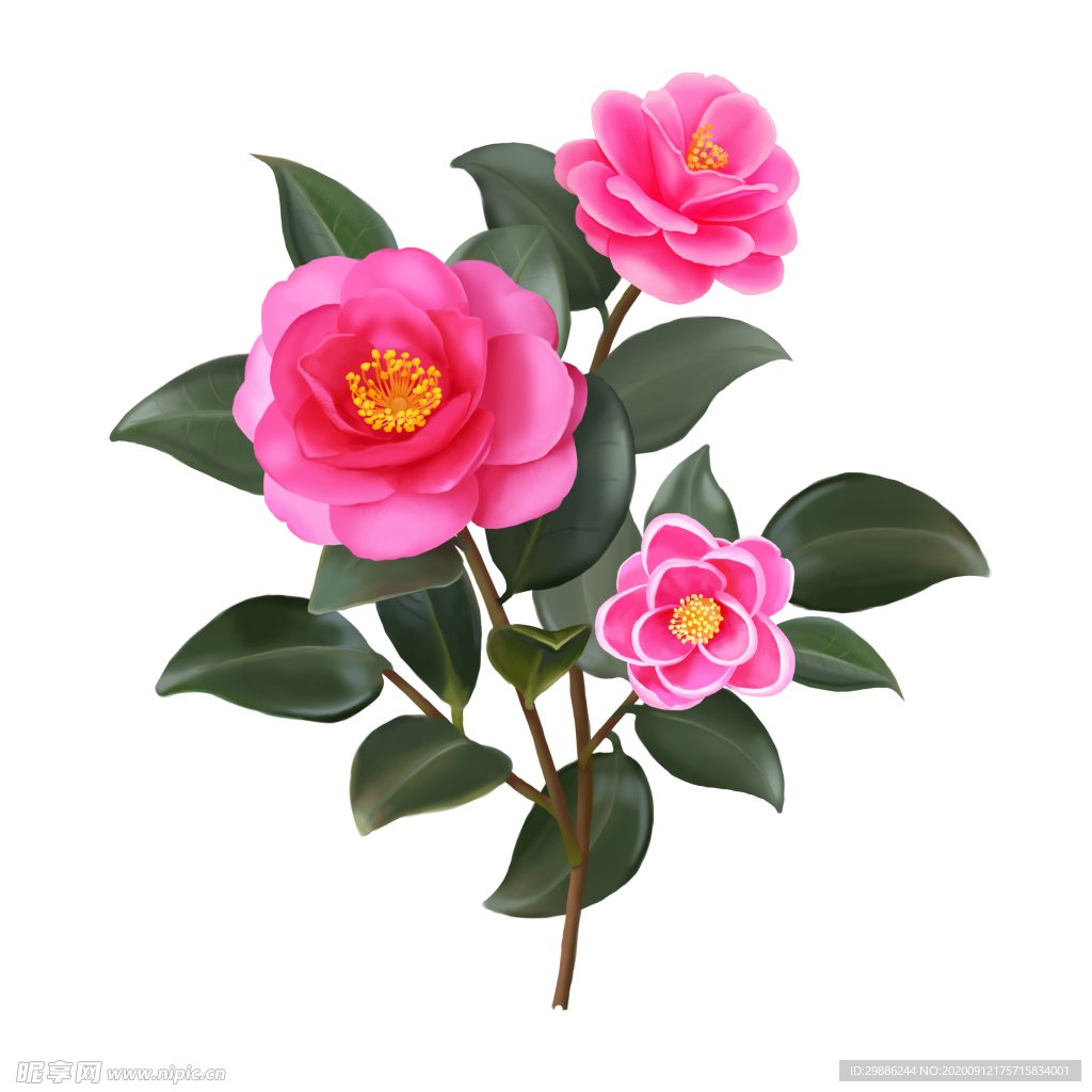 花