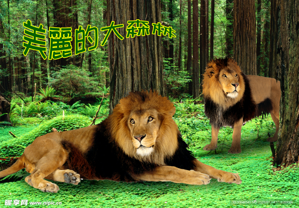 狮子