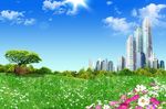 蓝天草地