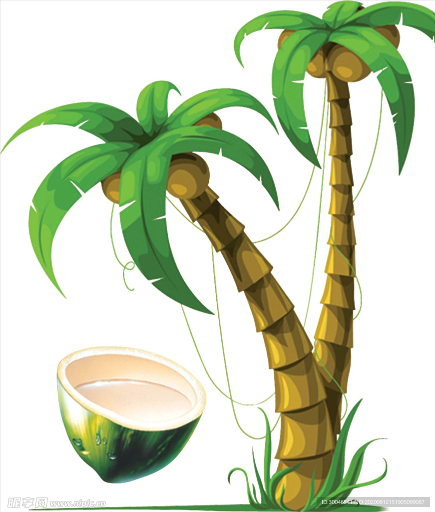 椰树